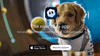 OpenAI Launches Sora 2 With a New Social Media App
